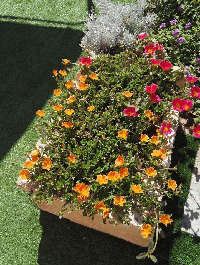 Il Grillo Parlante Bed & Breakfast Surbo Bagian luar foto