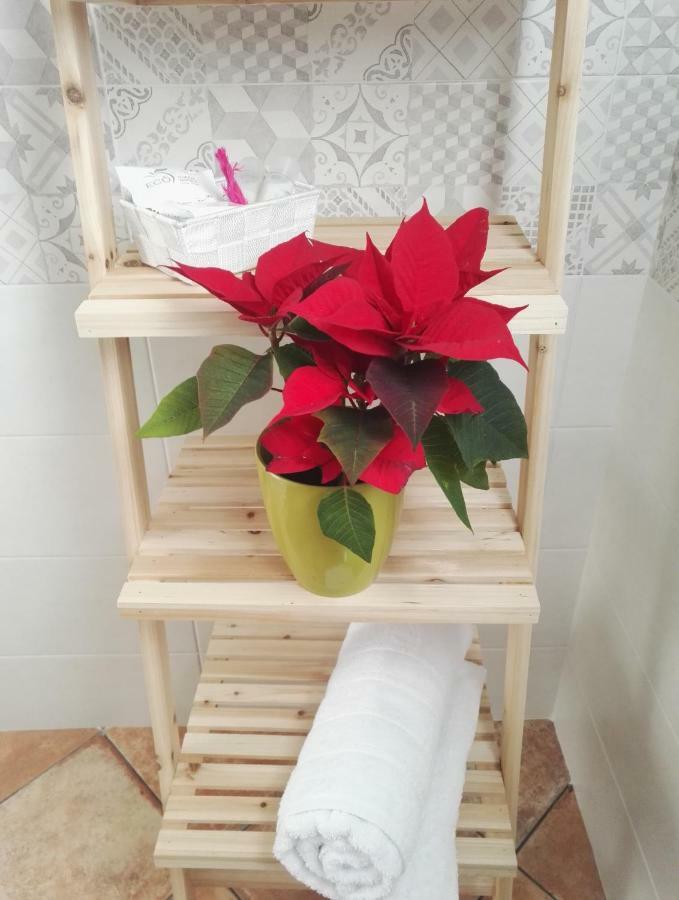 Il Grillo Parlante Bed & Breakfast Surbo Bagian luar foto